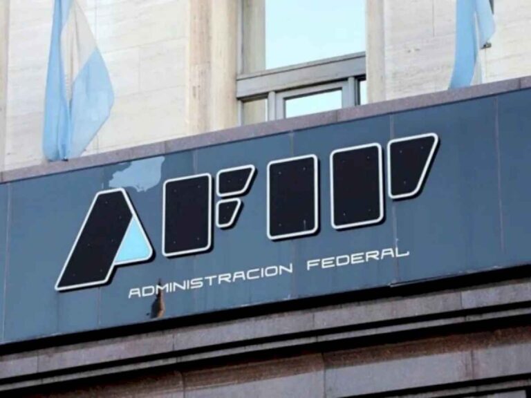 el-gobierno-de-javier-milei-anuncio-la-disolucion-de-afip