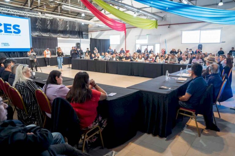 la-camara-del-golfo-san-jorge-participo-de-la-conformacion-del-consejo-economico-social-en-comodororivadavia