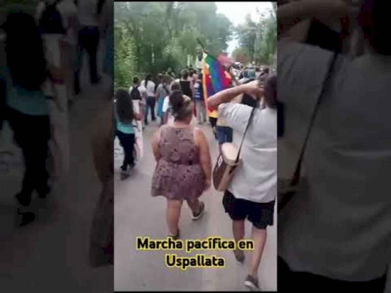 uspallata-marcho-pacificamente-en-defensa-del-agua