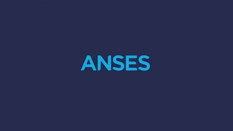 anses:-de-cuanto-sera-la-puam-en-febrero