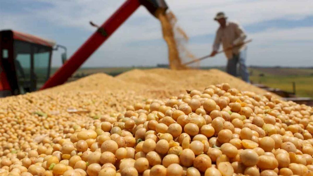 el-gobierno-oficializo-la-baja-de-las-retenciones-pero-impuso-una-condicion-a-los-productores