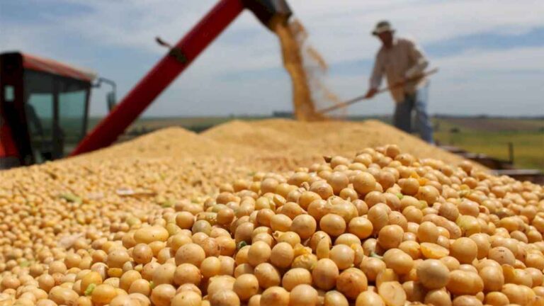 el-gobierno-oficializo-la-baja-de-las-retenciones-pero-impuso-una-condicion-a-los-productores