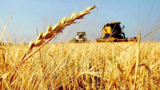 Por las mejoras climáticas, las exportaciones argentinas crecieron un 19% en 2024