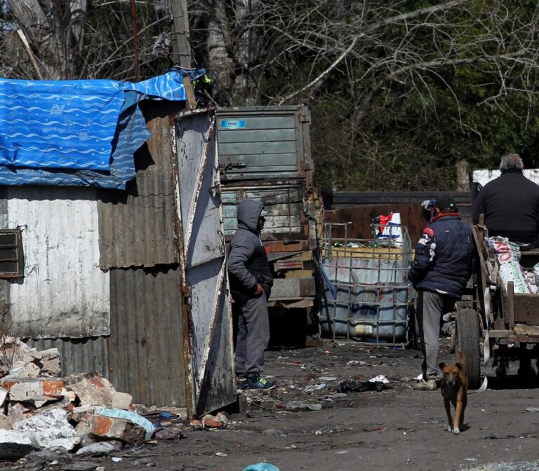 Saluden a las canastas que vuelan