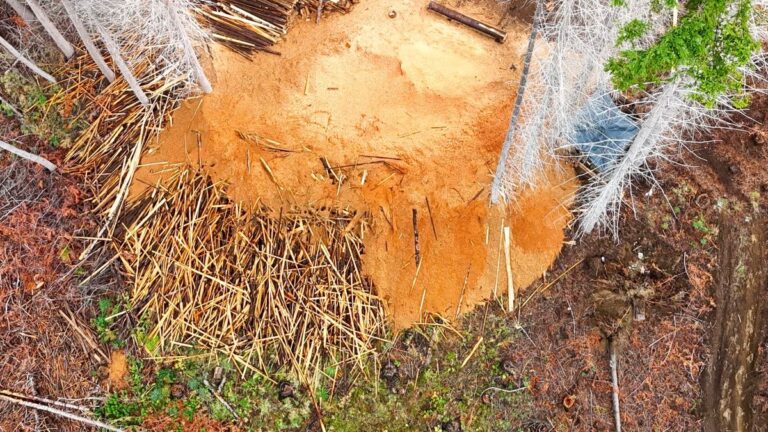 Desmantelan industria maderera ilegal en Lago Puelo