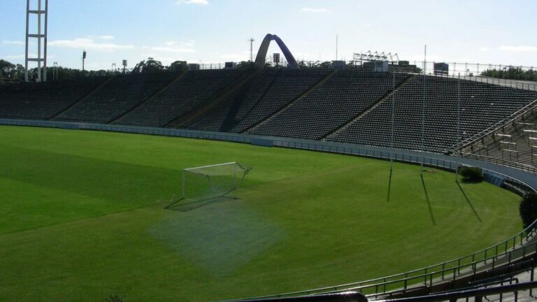Fútbol libre por celular: cómo ver en vivo Aldosivi vs Racing