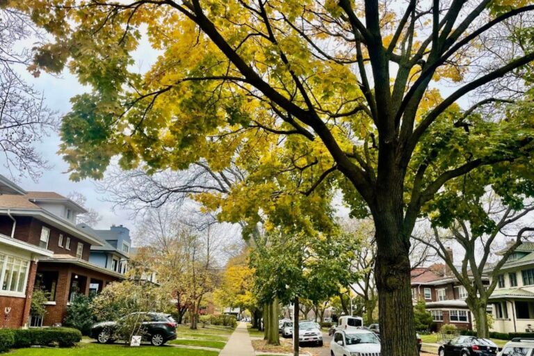Este es el mejor barrio para vivir en Chicago en 2025, según la inteligencia artificial