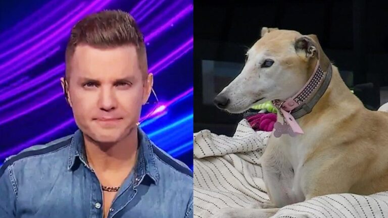 Tristeza en la casa de Gran Hermano: por qué no volverá la perrita Paris a la casa más famosa