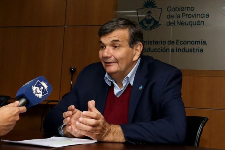 Neuquén lanza una ley para atraer inversores y diversificar su economía