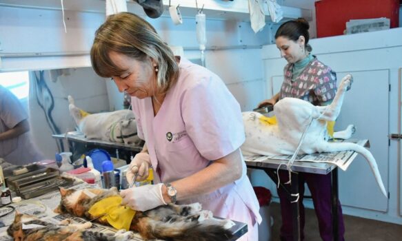 Con el acompañamiento de la comunidad, Trelew celebró el Día del Animal
