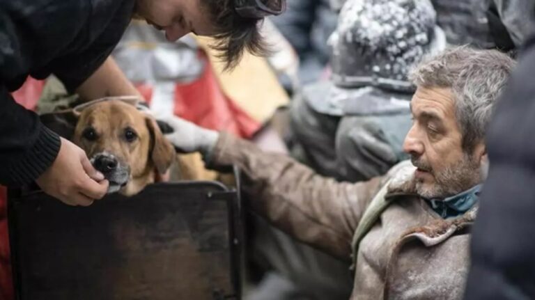 La historia de Puelo, el perro chubutense que actuó en El Eternauta y conquistó a Ricardo Darín