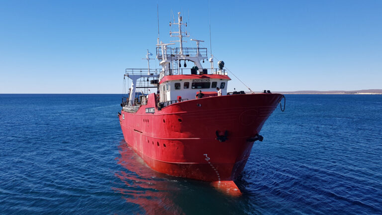 Chubut reclamó a Nación la eliminación de retenciones a la pesca