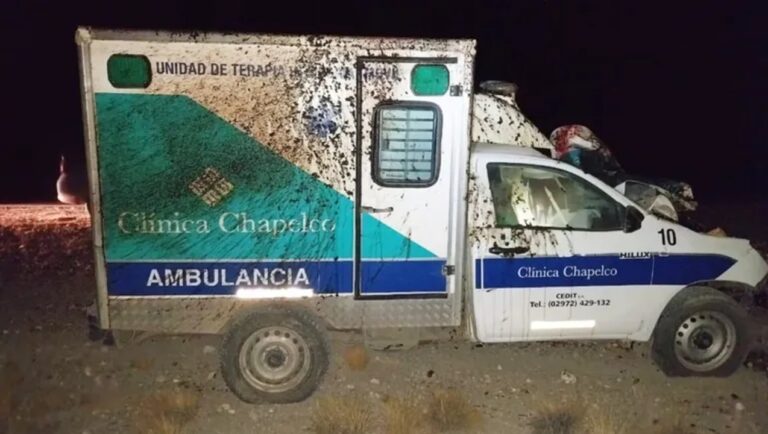Horror en la Patagonia: una ambulancia chocó contra un caballo