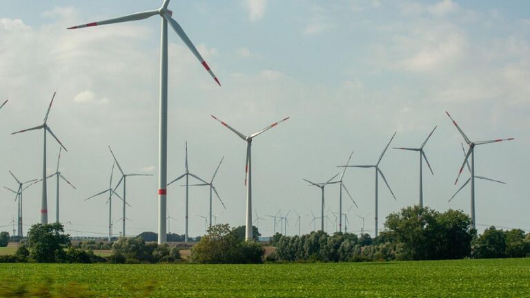El Gobierno anunció la construcción de un parque de energía eólica en Olavarría