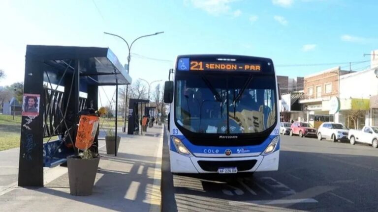 La rápida acción de un colectivero en Neuquén permitió detener al acusado de abuso sexual