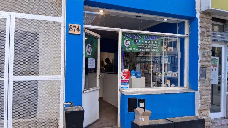 Robo en un comercio céntrico: se llevaron mercadería y celulares