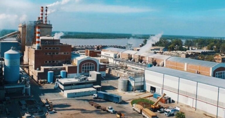 Celulosa Argentina al borde de la quiebra: sin avances en la búsqueda de un inversor, presentó su concurso de acreedores