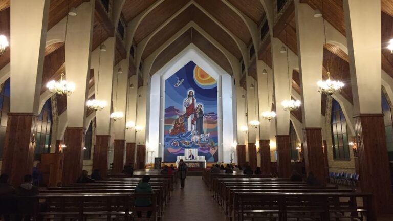 Robaron una Biblia histórica de la Catedral de Comodoro