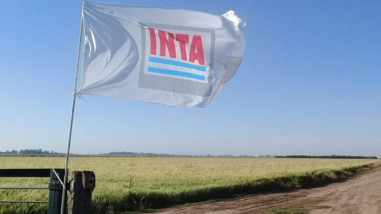 El Gobierno designó autoridades de INTA tras el rechazo legislativo a su cierre