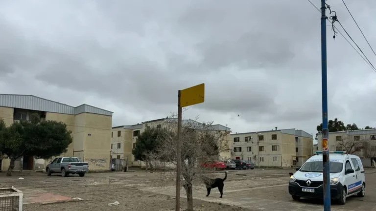 Apuñalan a un joven en las 1008: está grave