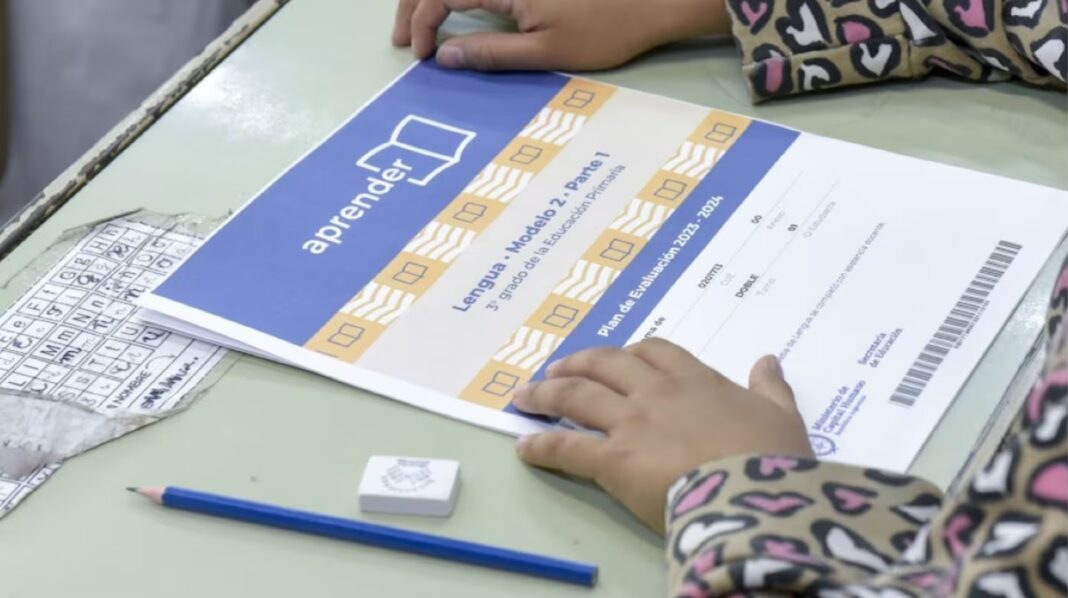 2167606-en-chubut-menos-de-la-mitad-de-los-ninos-de-3-grado-logra-comprender-textos