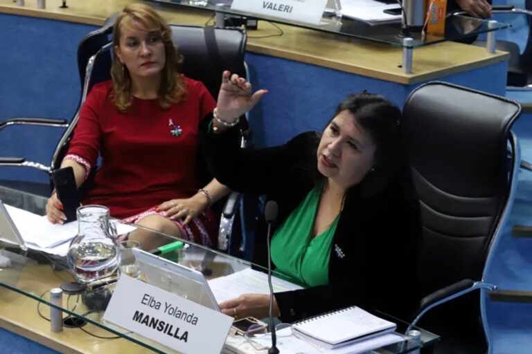 Polémica en Viedma: la Legislatura quitó el aporte obligatorio al sindicato de judiciales