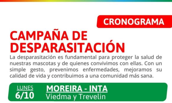 2195049-salud-animal-esta-en-marcha-la-campana-gratuita-de-desparasitacion-en-los-barrios-de-trelew