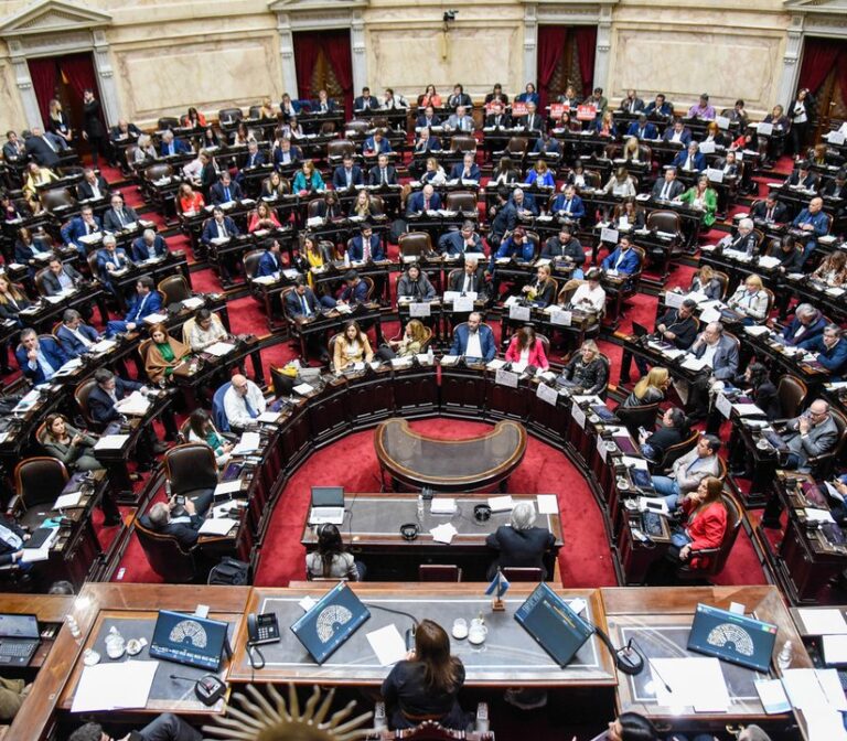 DNU: cómo votaron los diputados de Neuquén, Río Negro y la Patagonia en una sesión clave