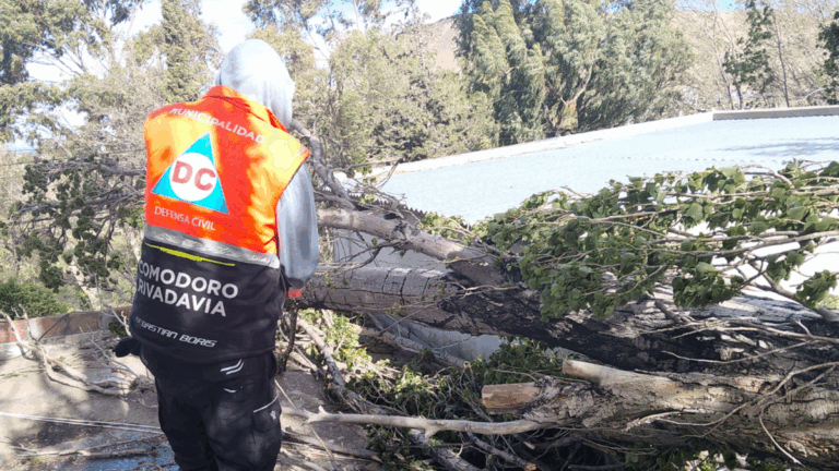 Bajó a alerta amarilla: el viento causó estragos en Comodoro