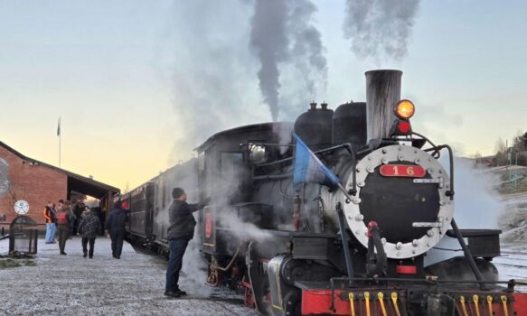 La Trochita realizará 20 salidas durante octubre